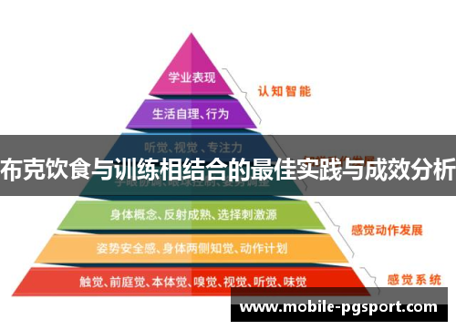 布克饮食与训练相结合的最佳实践与成效分析