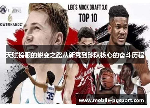 天赋榜眼的蜕变之路从新秀到球队核心的奋斗历程