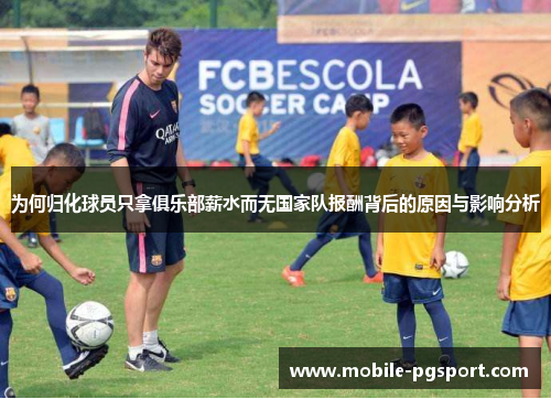 为何归化球员只拿俱乐部薪水而无国家队报酬背后的原因与影响分析
