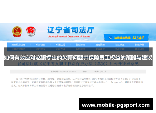 如何有效应对赵鹏提出的欠薪问题并保障员工权益的策略与建议