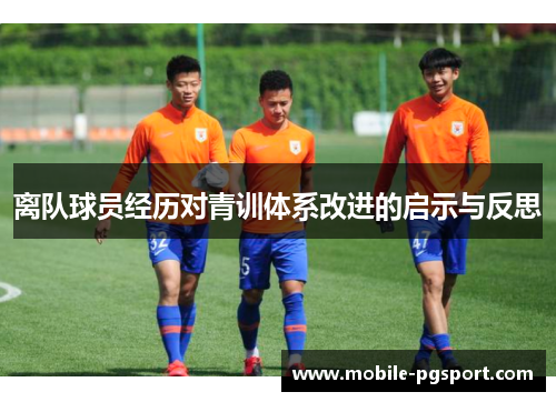 离队球员经历对青训体系改进的启示与反思