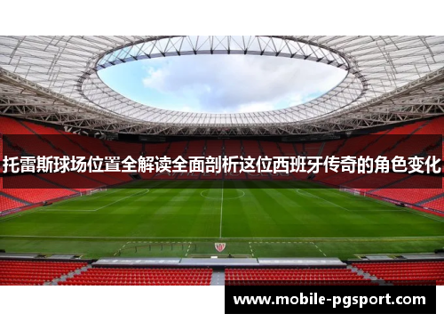托雷斯球场位置全解读全面剖析这位西班牙传奇的角色变化