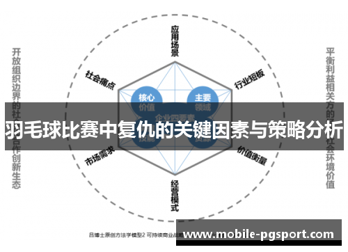 羽毛球比赛中复仇的关键因素与策略分析