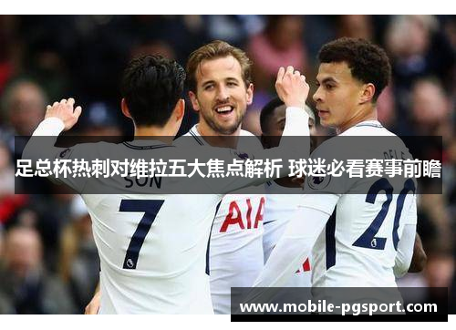 足总杯热刺对维拉五大焦点解析 球迷必看赛事前瞻 足总杯热刺对维拉五大焦点解析 球迷必看赛事前瞻