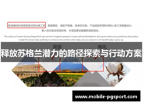 释放苏格兰潜力的路径探索与行动方案 释放苏格兰潜力的路径探索与行动方案