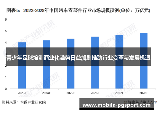 青少年足球培训商业化趋势日益加剧推动行业变革与发展机遇