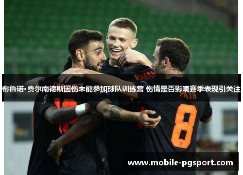 布鲁诺·费尔南德斯因伤未能参加球队训练营 伤情是否影响赛季表现引关注