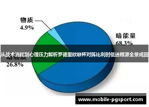 从战术消耗到心理压力解析罗德里欧联杯对阵比利时低迷根源全景成因